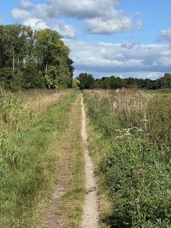 Pad door de natuur